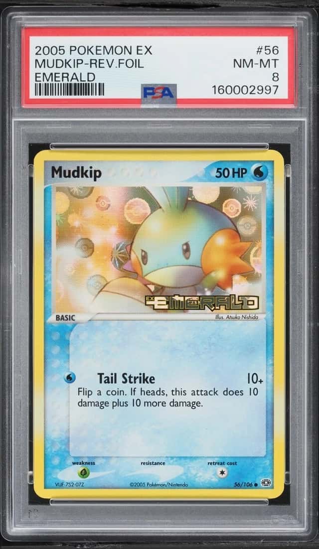 Mudkip