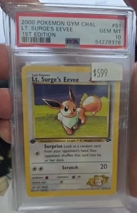 Lt. Surge's Eevee