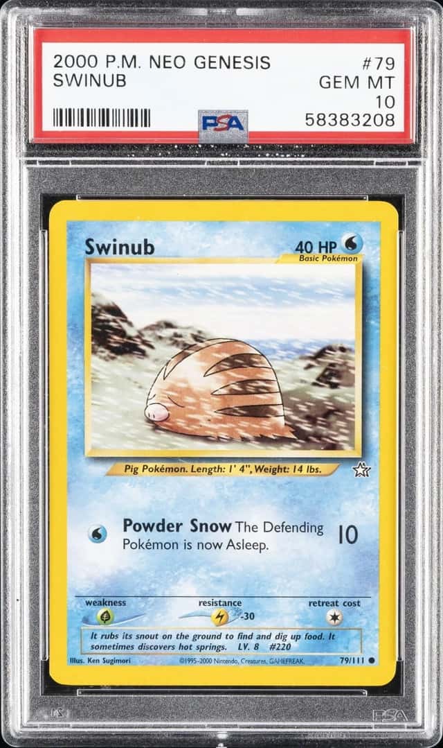 Swinub