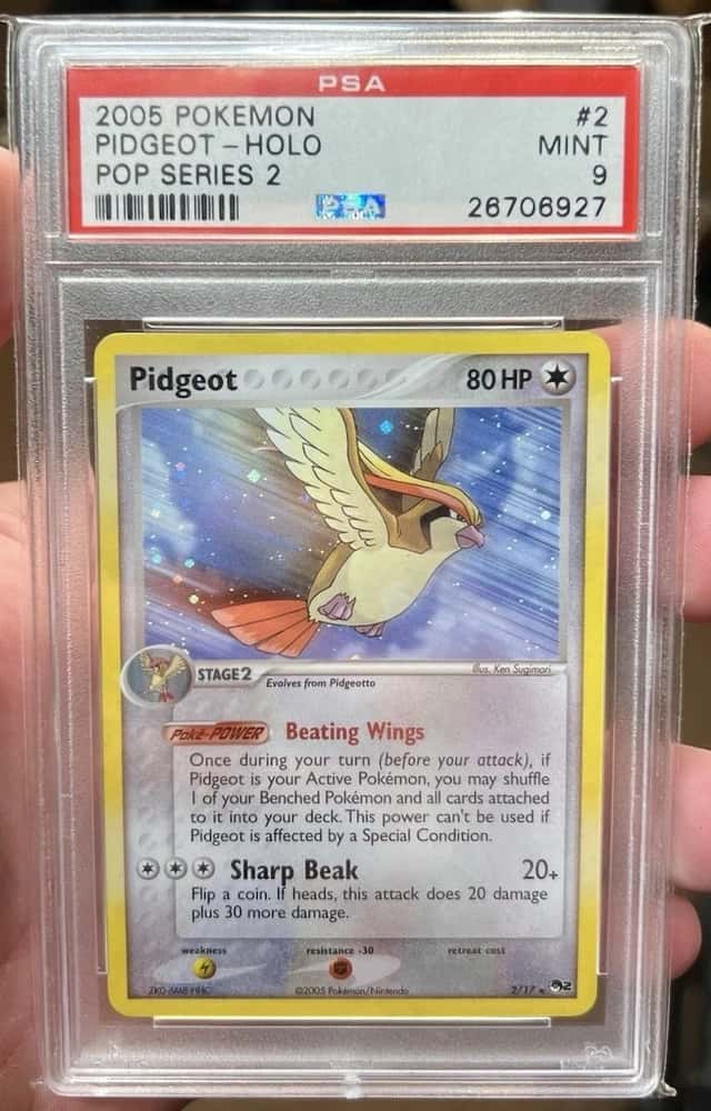 Pidgeot