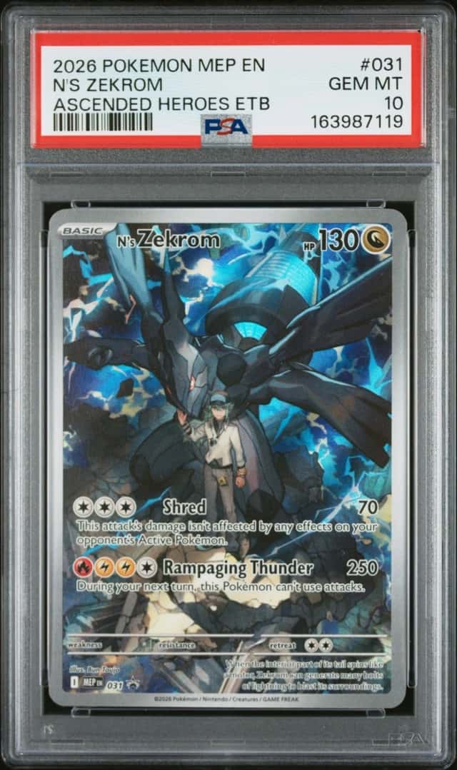 N's Zekrom