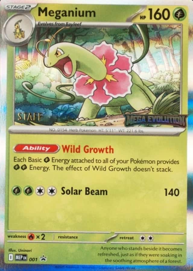 Holo · Prerelease · Evolution Mega Staff