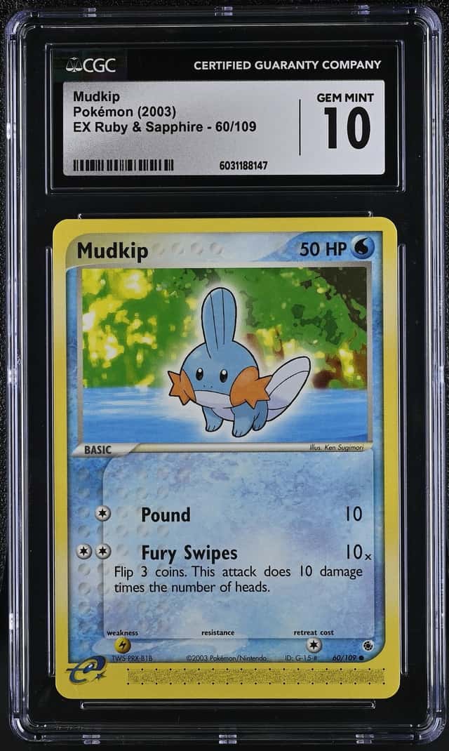 Mudkip