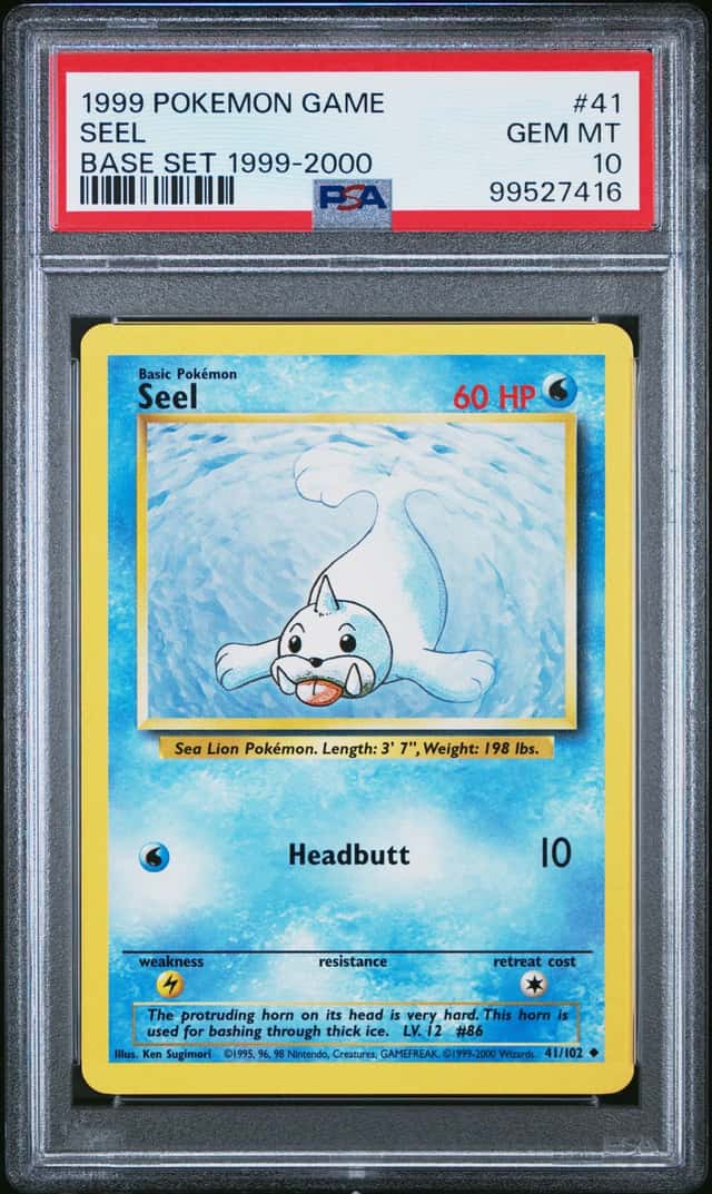 Seel