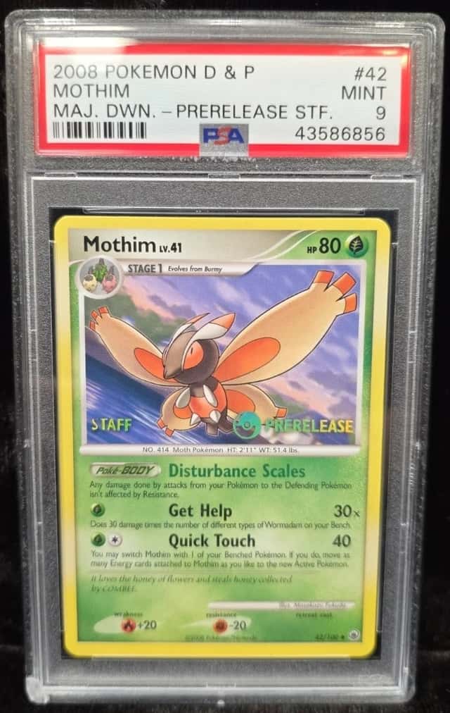 Mothim