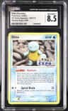 Ditto [squirtle]