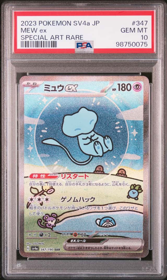 MEW ex