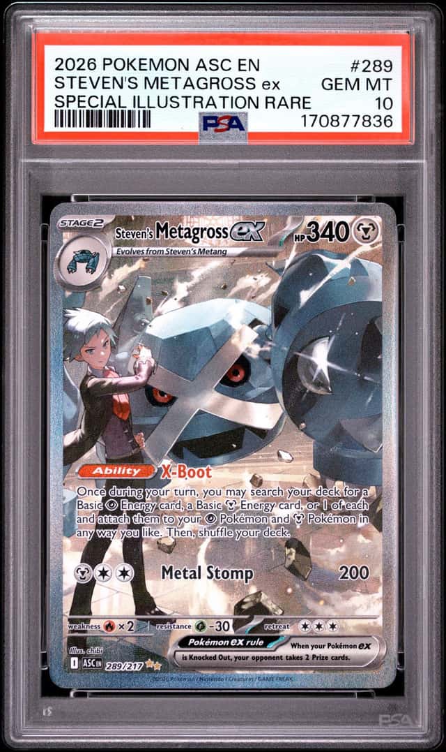 STEVEN'S METAGROSS ex