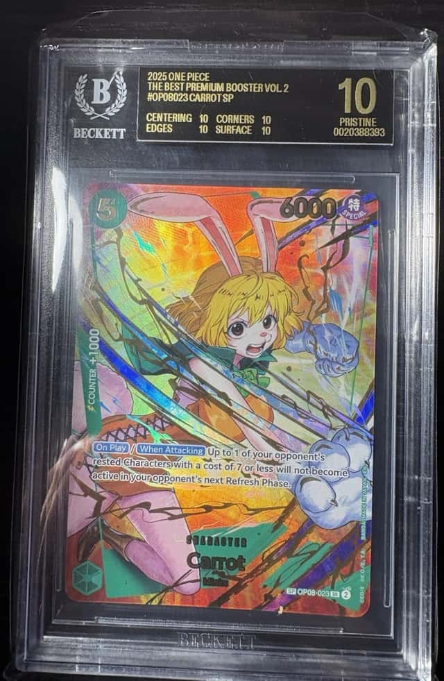 Carrot SP