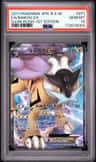 Raikou Ex