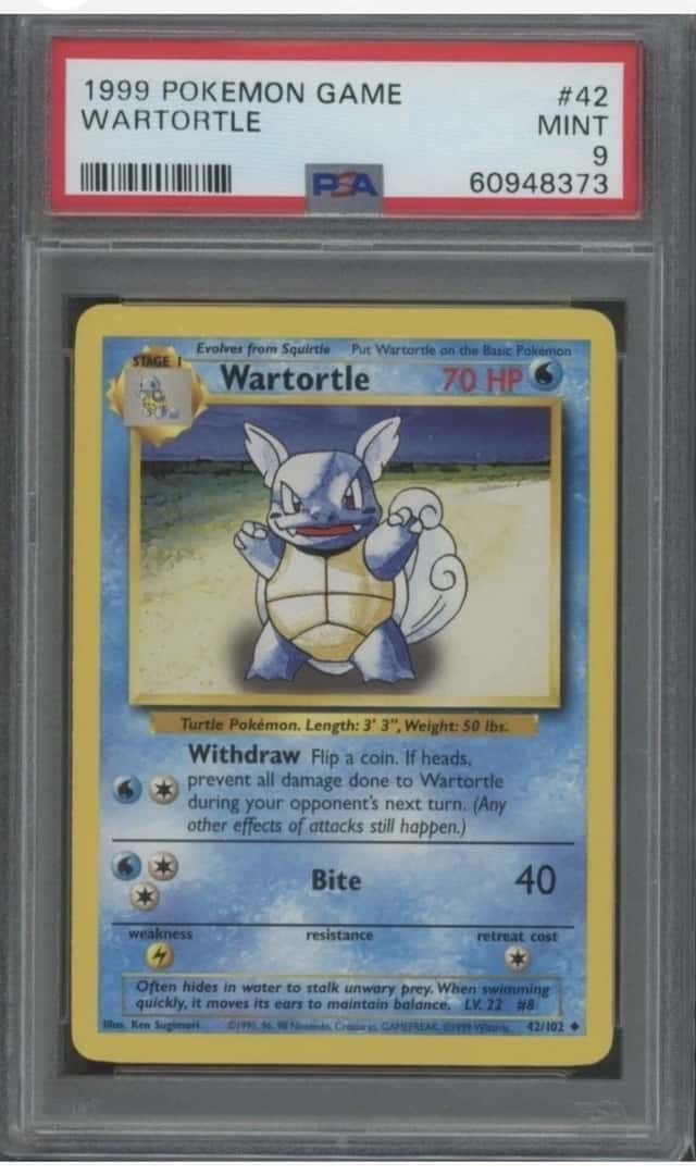 Wartortle