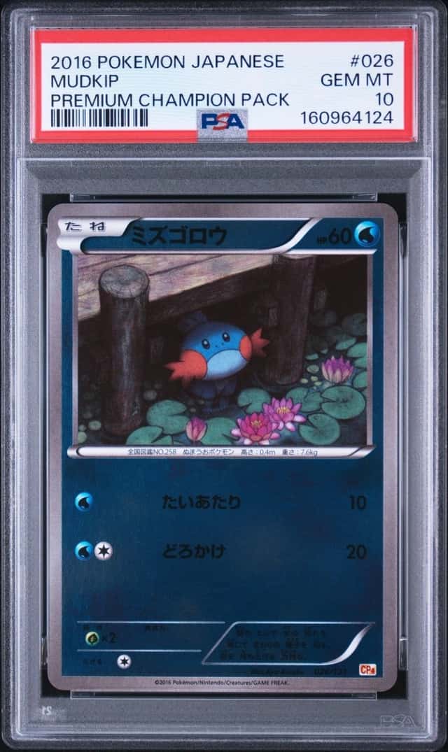 Mudkip