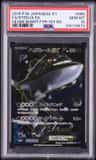 Steelix Ex