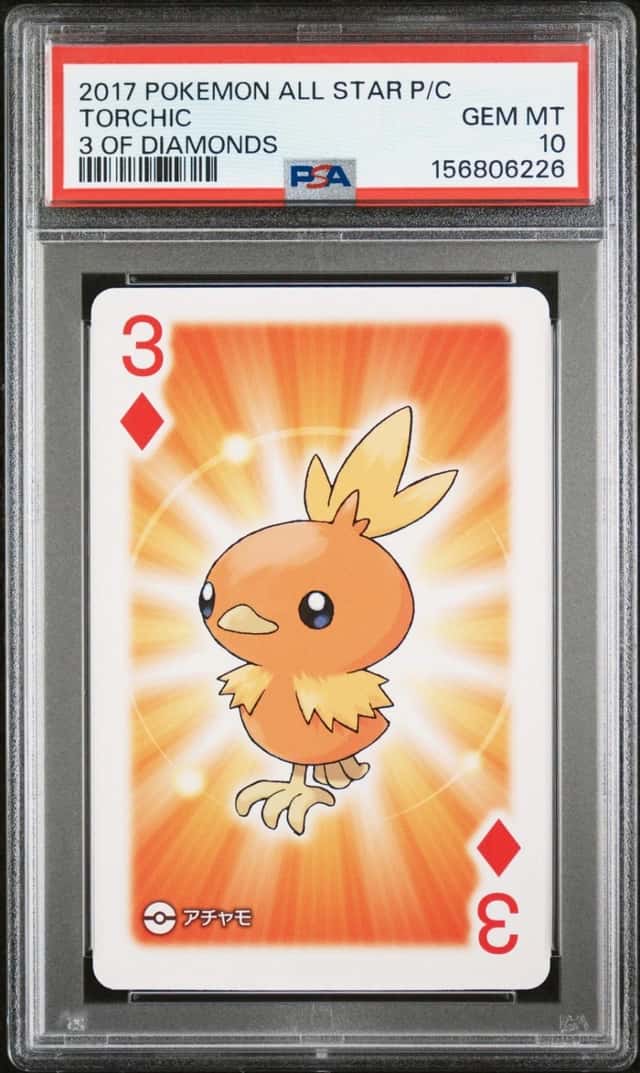 Torchic