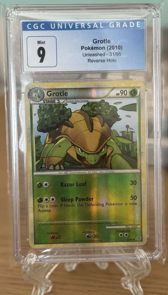 Grotle