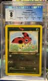 Ledyba