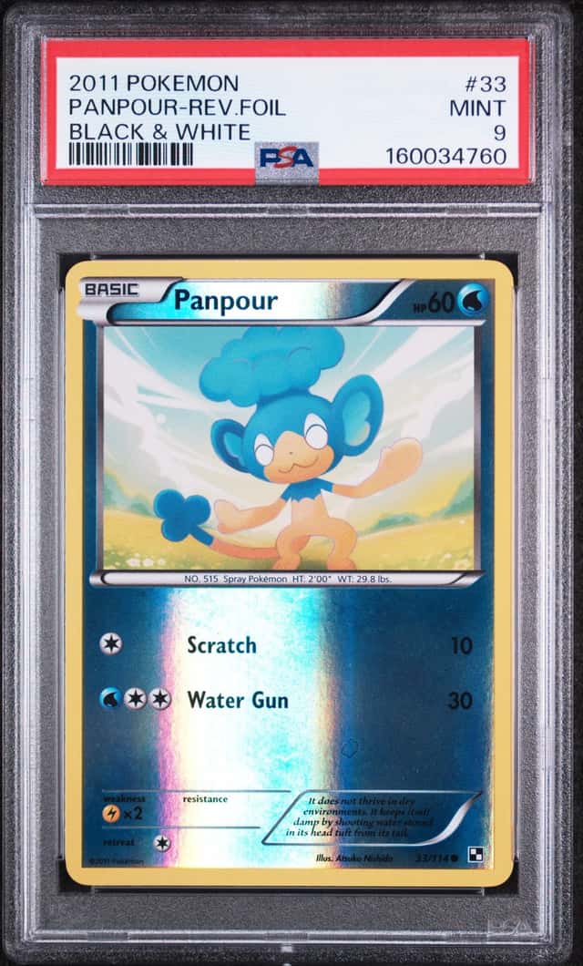 PANPOUR