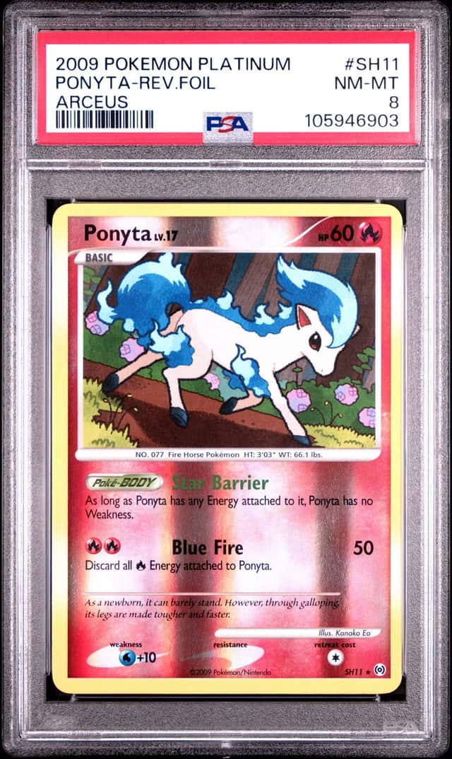 Ponyta