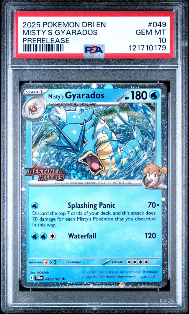 Misty's Gyarados