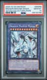 Dragon Master Magia