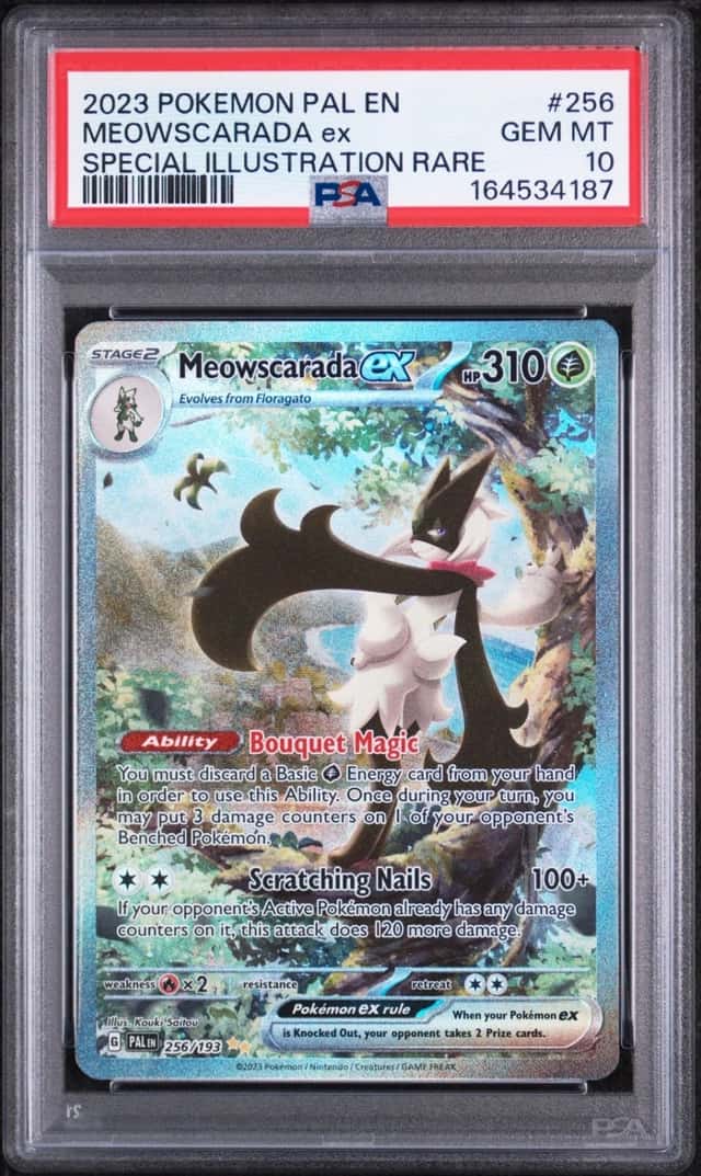 MEOWSCARADA ex