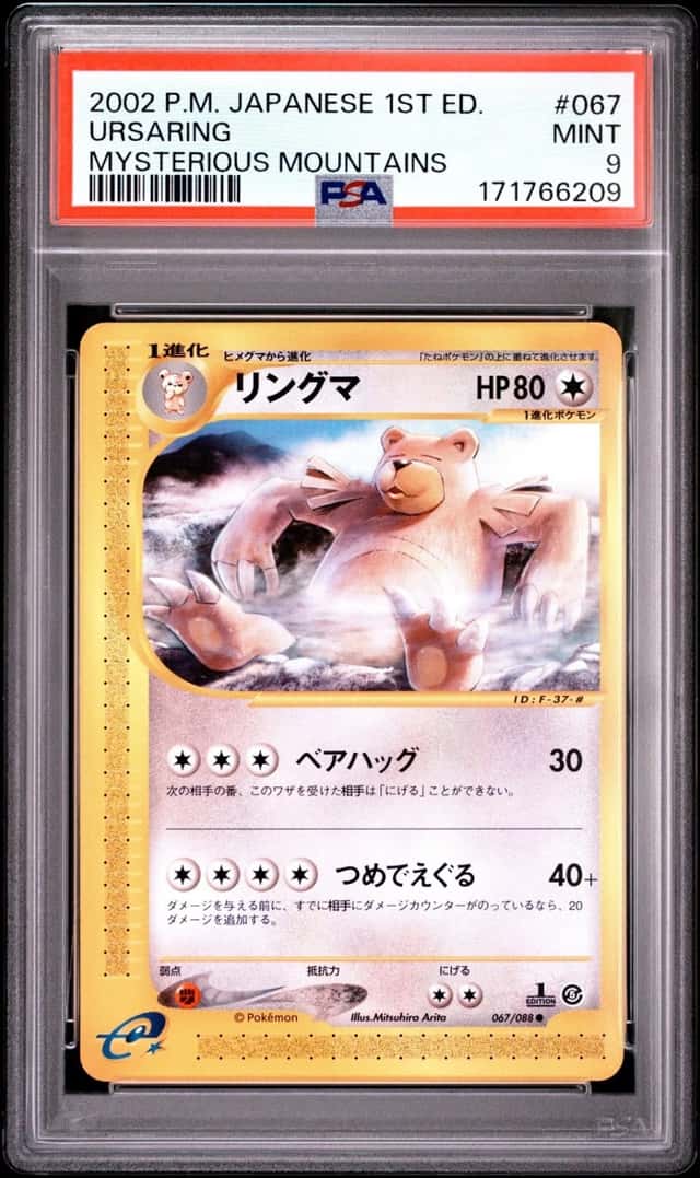 Ursaring