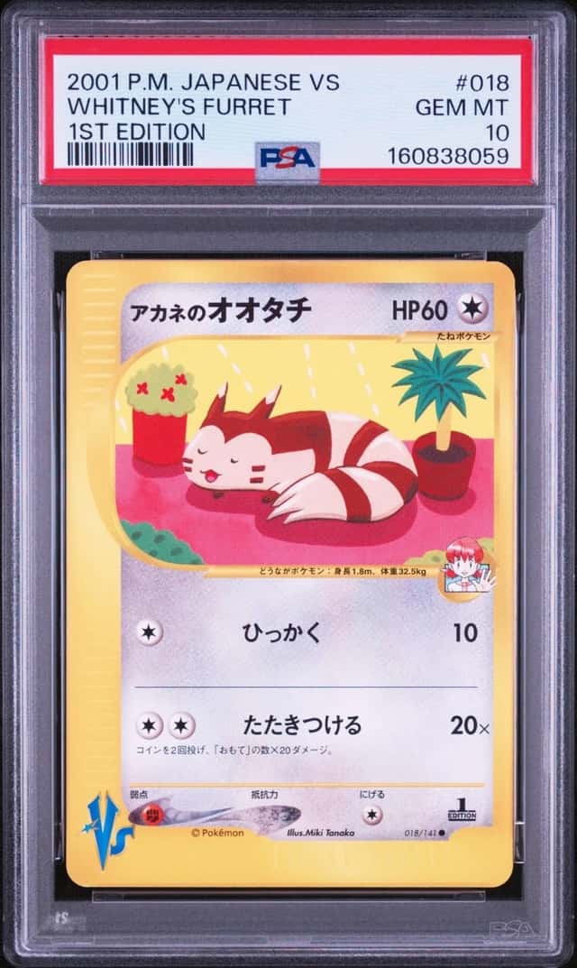 Whitney's Furret