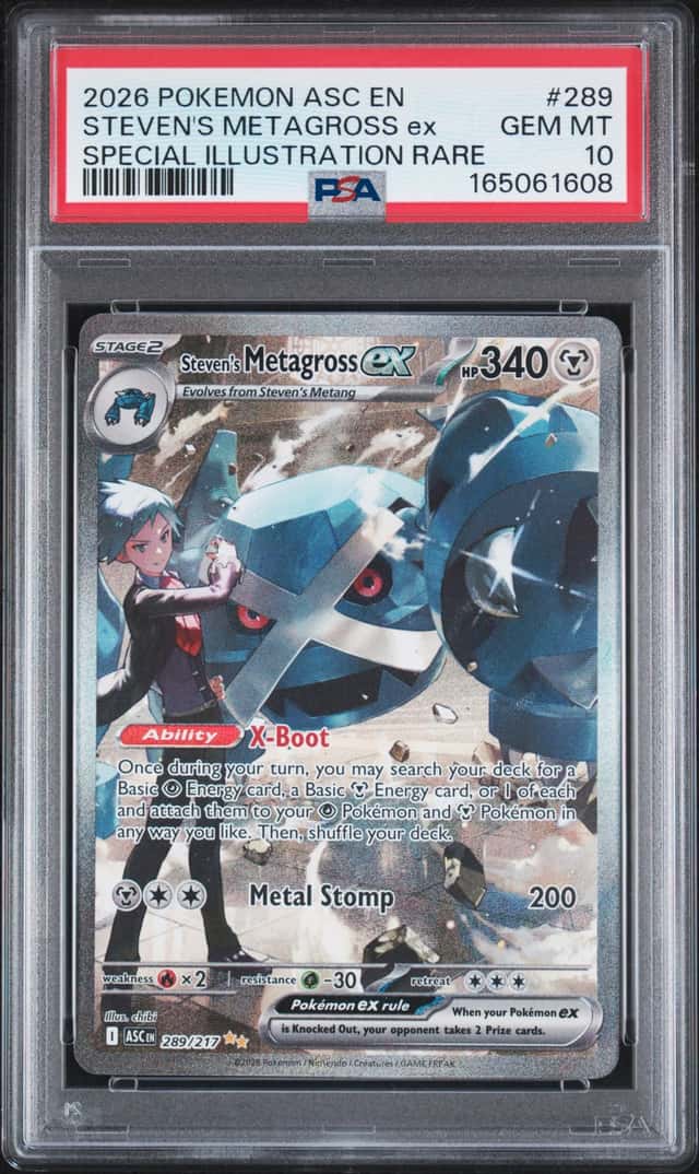 STEVEN'S METAGROSS ex