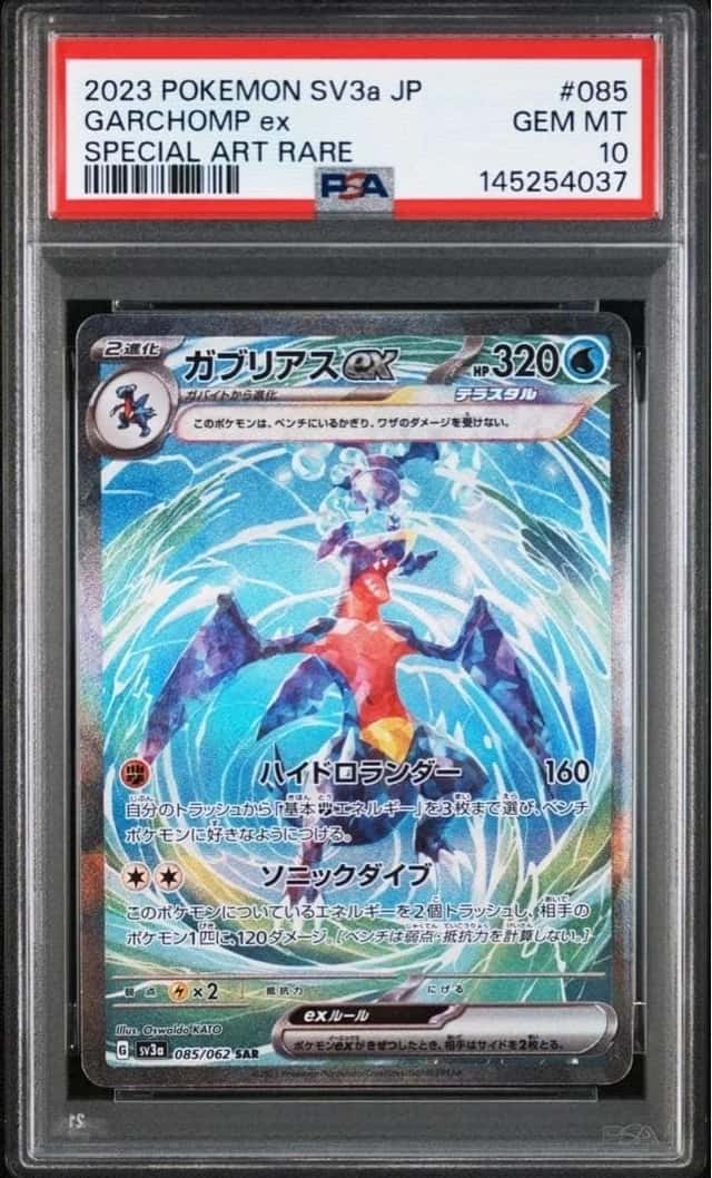 GARCHOMP ex