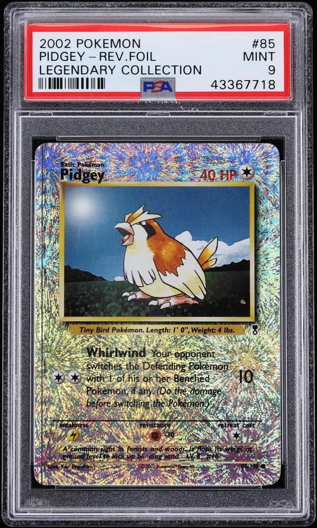 Pidgey
