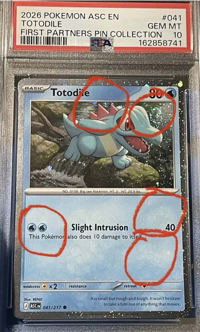 Totodile