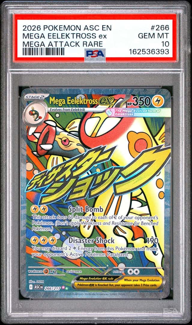 MEGA EELEKTROSS ex