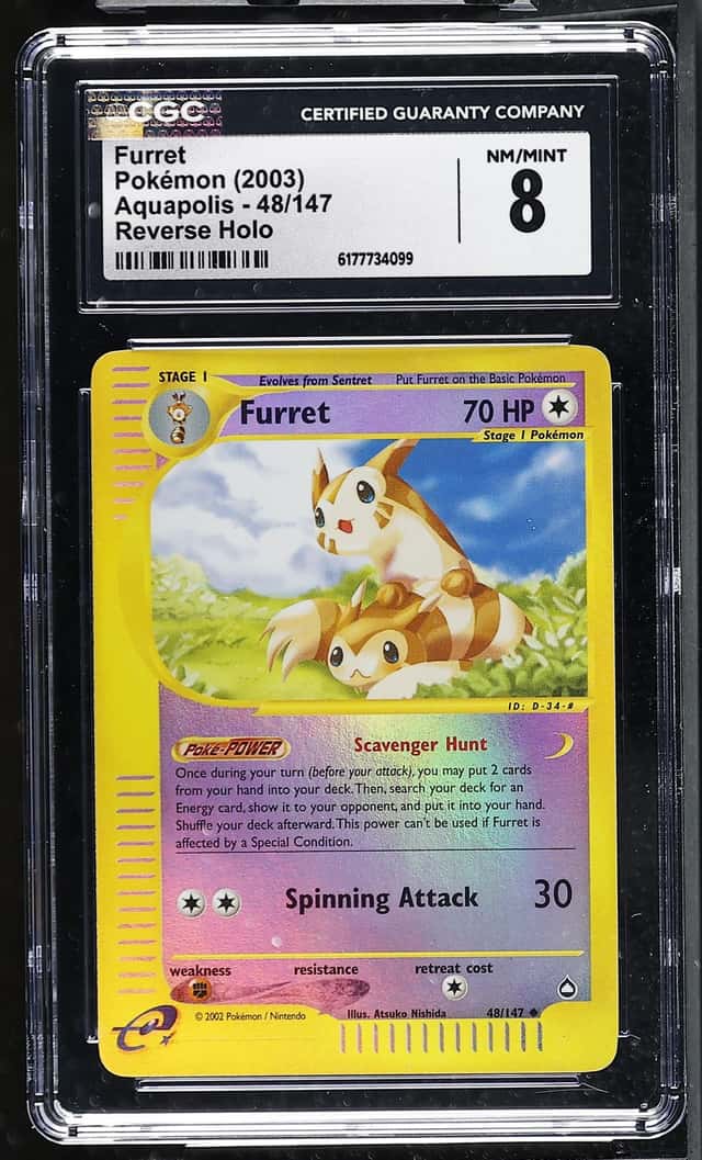 Furret