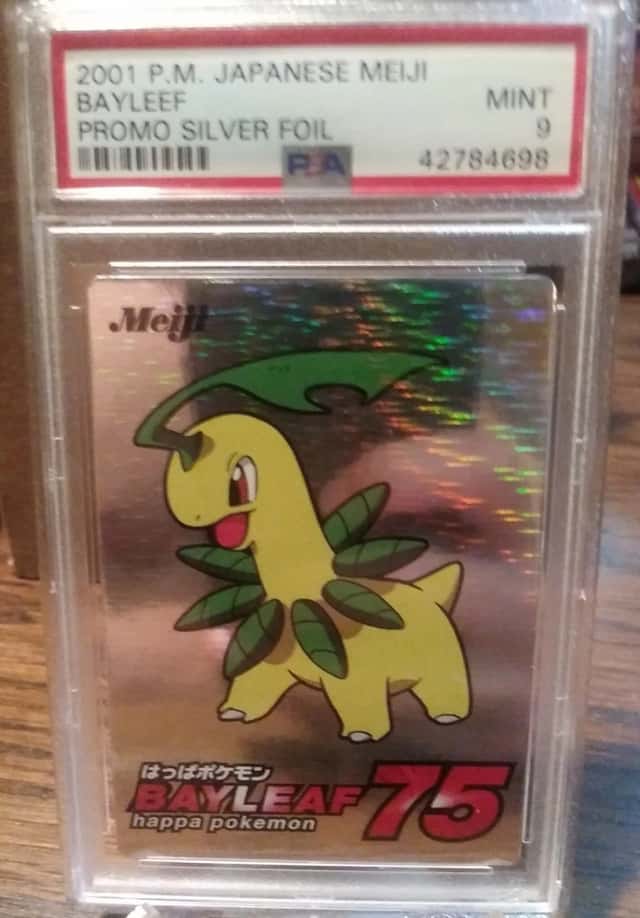 Bayleef