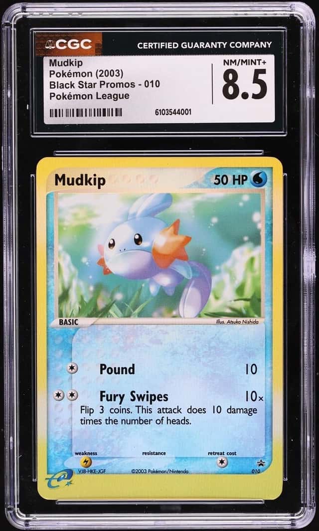 Mudkip