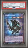 Dark Paladin