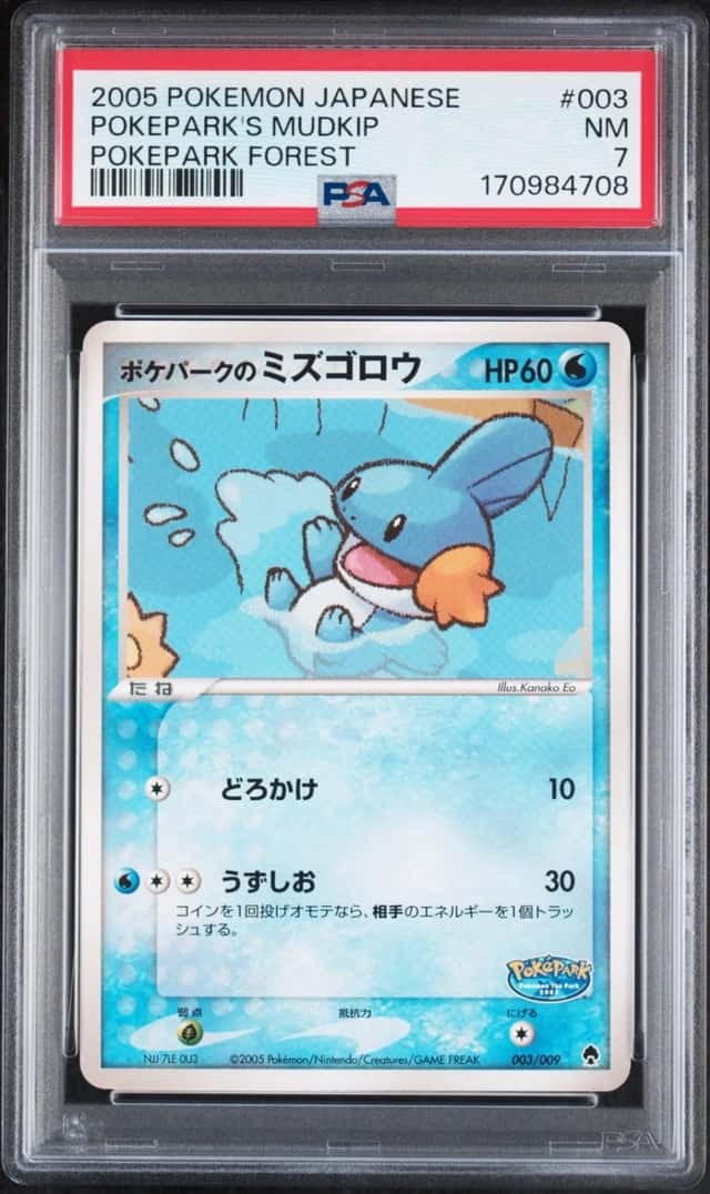Pokepark's Mudkip