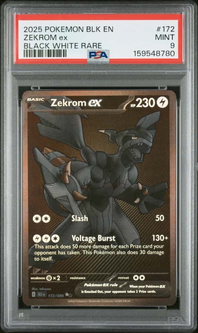 ZEKROM ex
