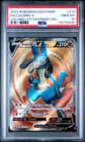 Lucario V