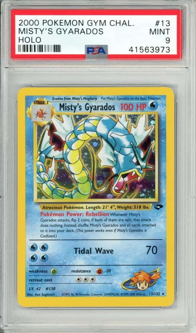 Misty's Gyarados