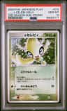 _____'S Celebi-Holo