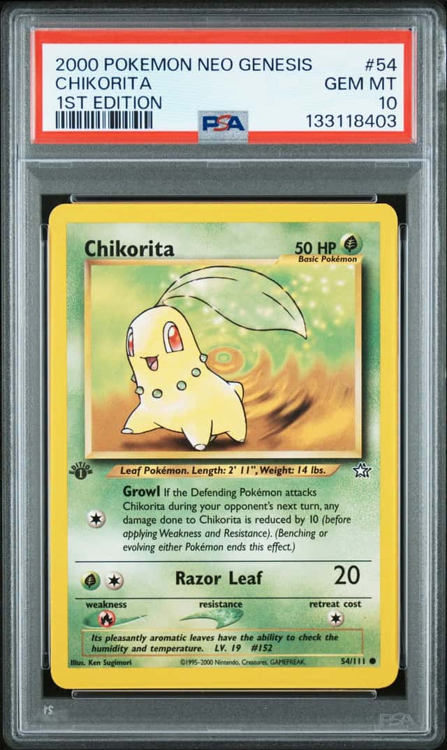 Chikorita