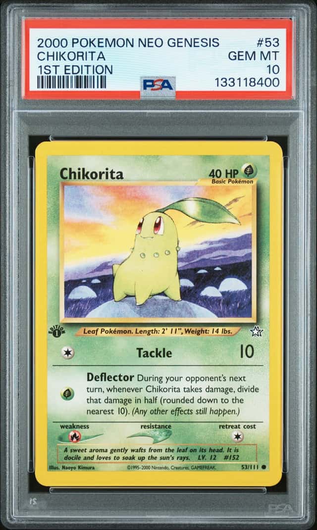 Chikorita