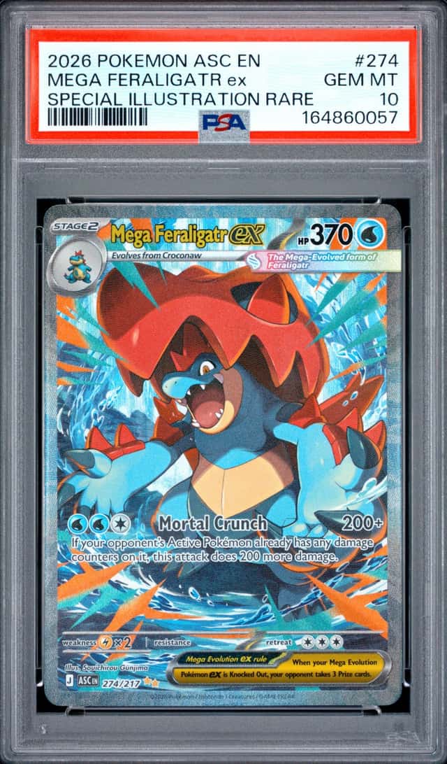 MEGA FERALIGATR ex