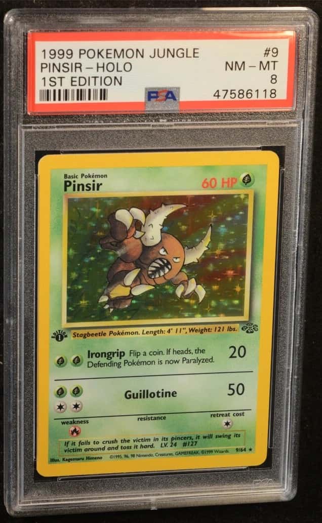 Pinsir