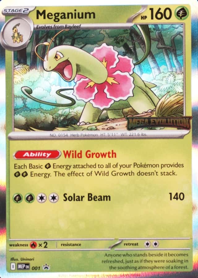 Holo · Prerelease