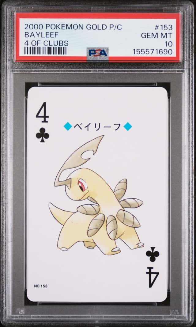Bayleef