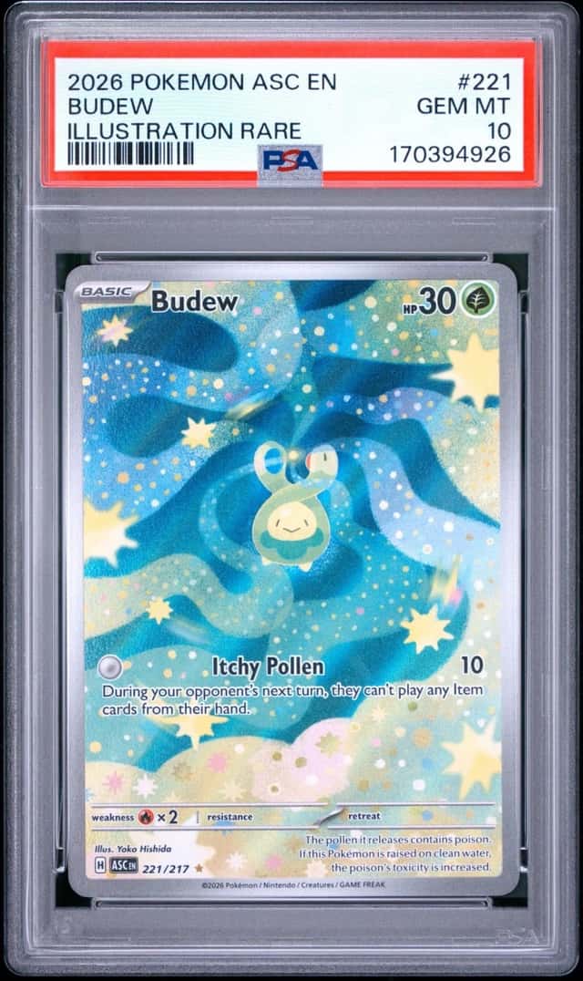 Budew