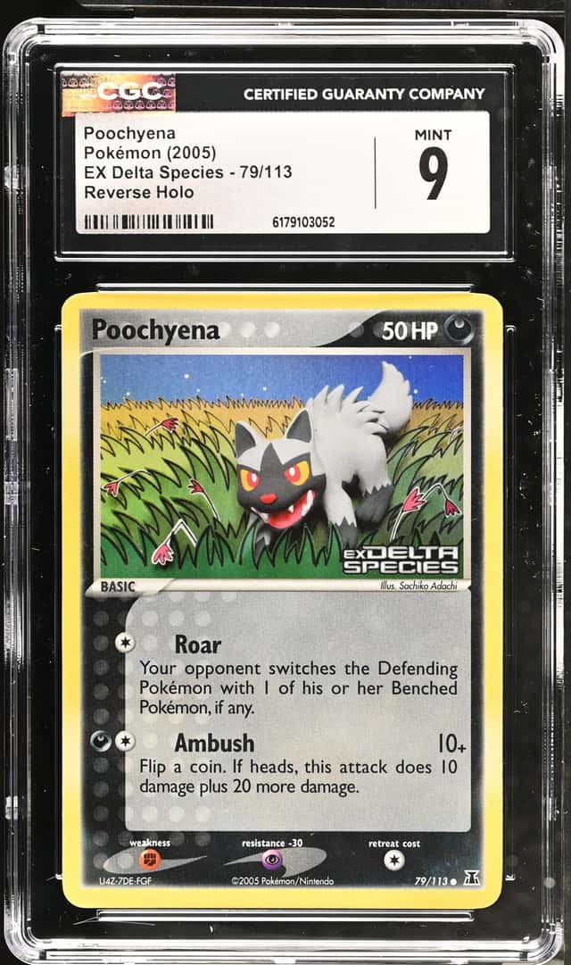 Poochyena