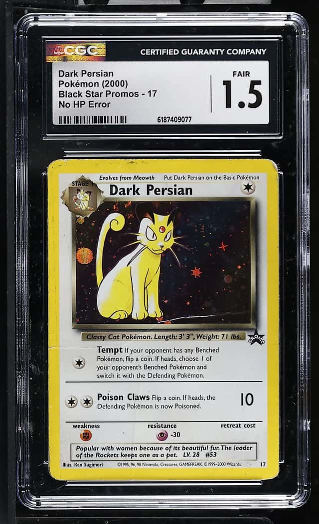 Dark Persian
